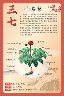 三七