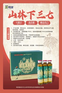 山林下三七