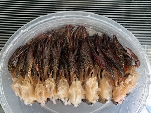 蒜蓉虾