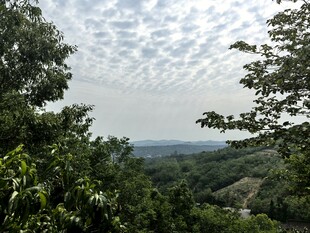 山林间远眺的开阔景致
