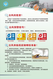 预防自然灾害知识宣传