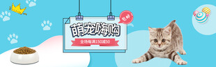 可爱猫咪与宠物用品展示