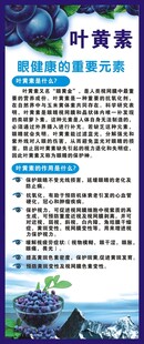 叶黄素