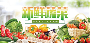 新鲜多样蔬菜大集合