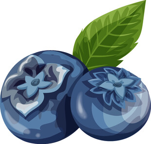 新鲜蓝莓插画