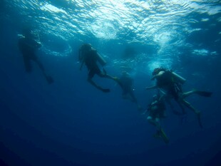 看！澎湃的海洋经济新动能