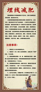 传统中医埋线减肥介绍