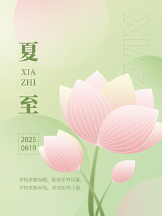 夏至时节粉色荷花绽放