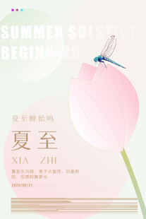 夏至节气粉色清新插画图