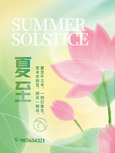 夏至荷花插画