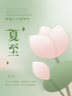 夏至节气粉色荷花海报