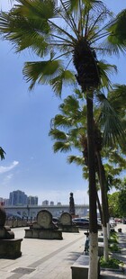 重庆市合川区