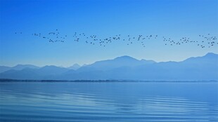 自然景观湖泊