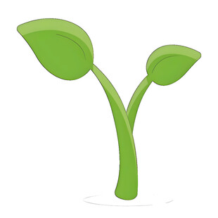 嫩绿幼苗茁壮成长