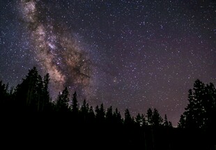 夜空下的森林与璀璨星河