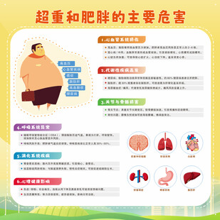 2025年体重管理  超重肥胖