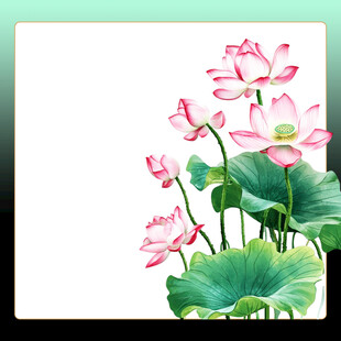 荷花展板