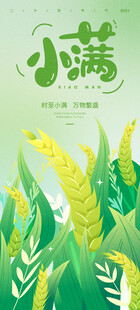 小满节气海报