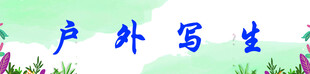 户外写生场景