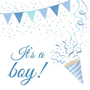 男孩诞生庆祝装饰图