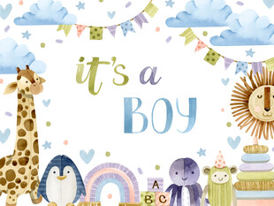 男孩主题动物装饰派对场景