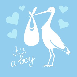 送子鹳带来新生命喜讯