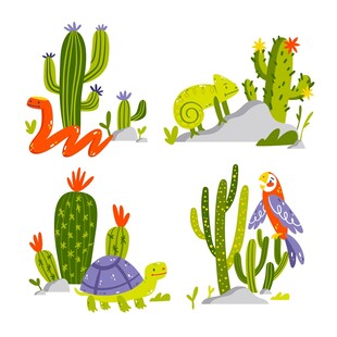 沙漠动植物插画