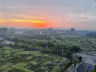 城市日出下的绿地景观