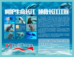 保护长江生命 