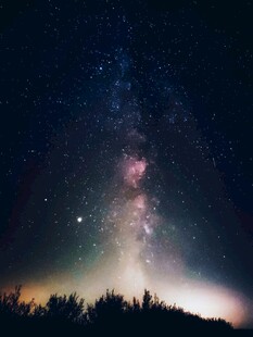 璀璨星空下的静谧森林