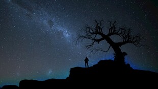 星空下的孤树与伫立之人