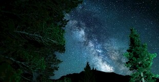 夜空下的森林与璀璨星河