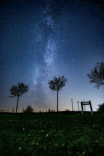 夜空下的草地与树木景观