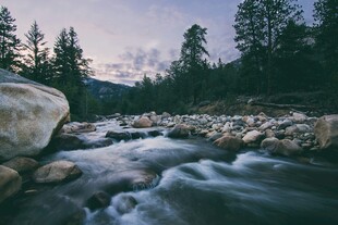 山间溪流旁的静谧自然景