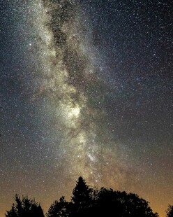 夜空下的璀璨银河与树木