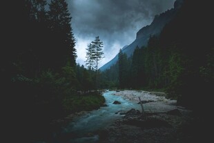 山间幽径溪流静谧之景