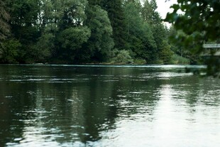 宁静河畔的自然景致