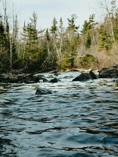 湍急河流旁的茂密树林