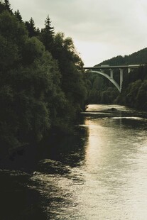 河畔桥梁与葱郁树林景观