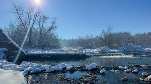 冬日河畔雪景