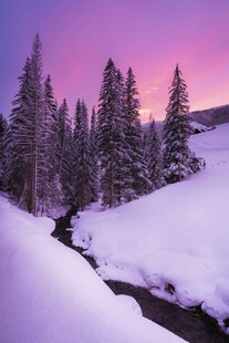 冬日雪林溪流梦幻美景