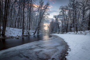 冬日雪林河流静谧美景
