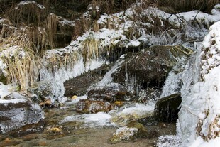 冬日溪流覆雪景致