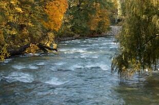 秋日溪流边的斑斓景致
