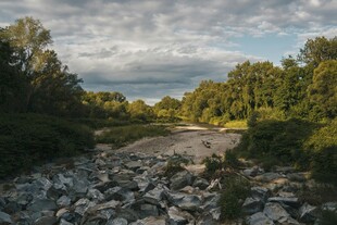 山间碎石路与葱郁树林