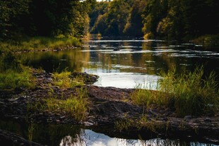 宁静河畔自然风光