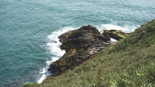 海边嶙峋礁石与翠绿岸坡