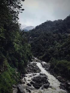 山间湍急溪流穿林而过