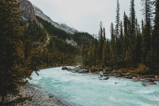 山间碧流穿林而过