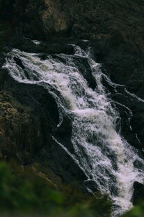 山间溪流潺潺流淌